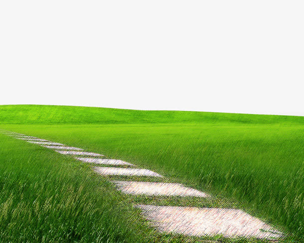 草地免抠装饰植物元素