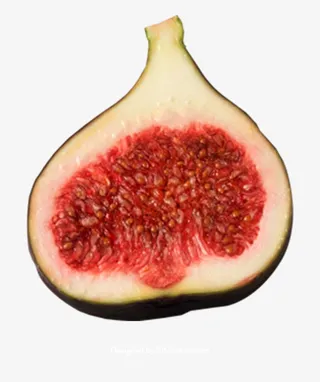 无花果只有一半免抠