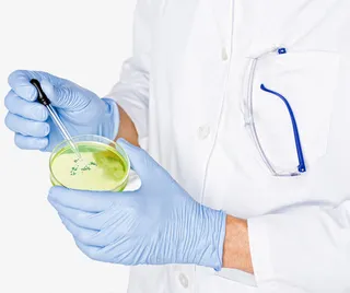 菌落培养皿免抠