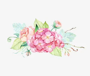 手绘唯美粉色鲜花免抠
