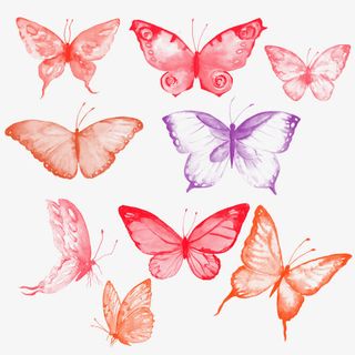 飞舞的蝴蝶免抠