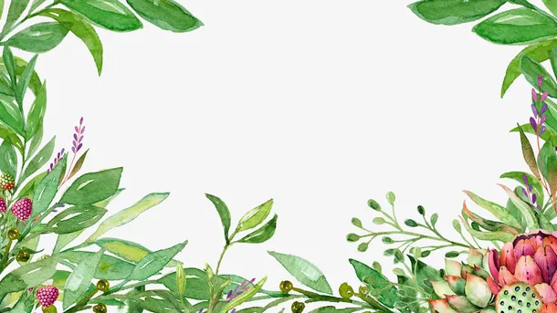 清新淡雅水彩手绘花卉绿叶边框免抠