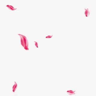 花瓣素材免抠