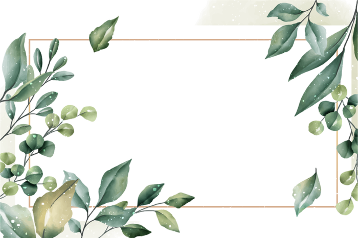 手绘树叶臂贴，手绘圆贴，高清