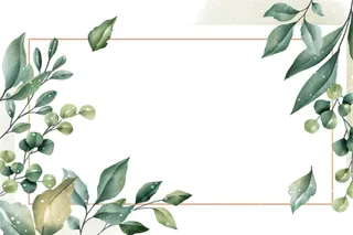 手绘树叶臂贴，手绘圆贴，高清