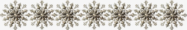 漂亮的雪花免抠