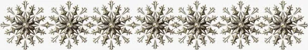 漂亮的雪花免抠