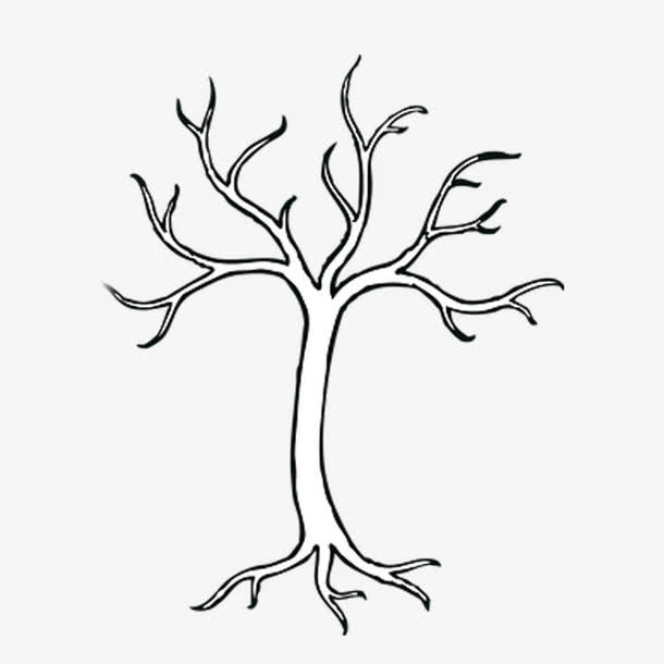 黑白插画树枝免抠