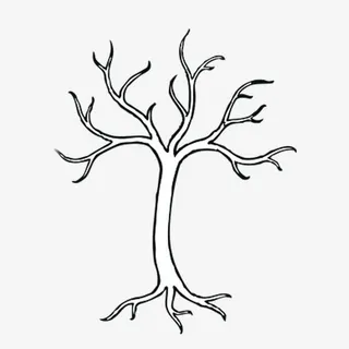 黑白插画树枝免抠