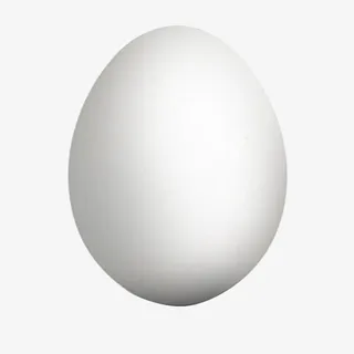一个鹅蛋免抠