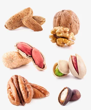 坚果素材免抠
