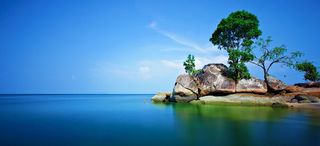 风景蓝天白云绿树背景高清