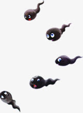 创意手绘卡通可爱的小蝌蚪免抠