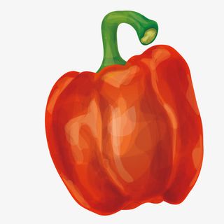 红色彩椒手绘简图免抠