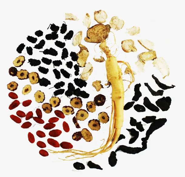 中国风人参意境幽清茶香茶文化免费下载免抠