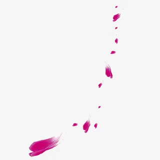 花瓣漂浮物免抠