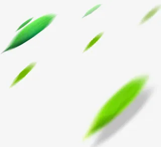 飞舞绿叶实物免抠