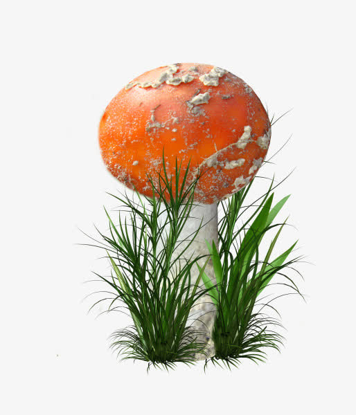 绿草蘑菇png素材免抠