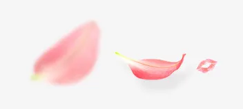 花瓣免抠
