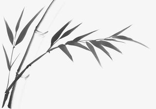 手绘黑色竹子免抠