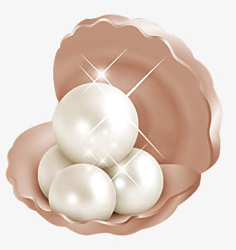 蚌珍珠图片素材免抠