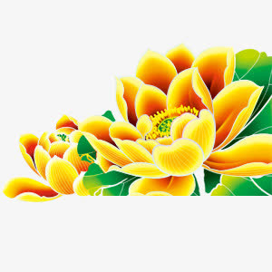 黄色绿叶荷花免抠