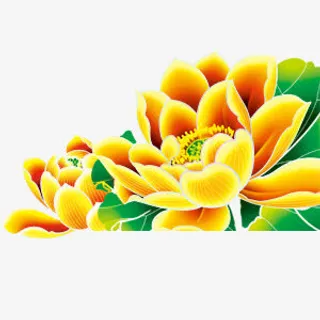 黄色绿叶荷花免抠