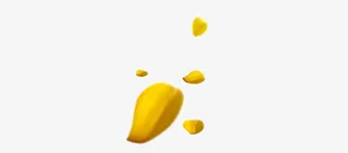 黄色花瓣漂浮元素免抠