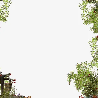 花草边框装饰图案免抠