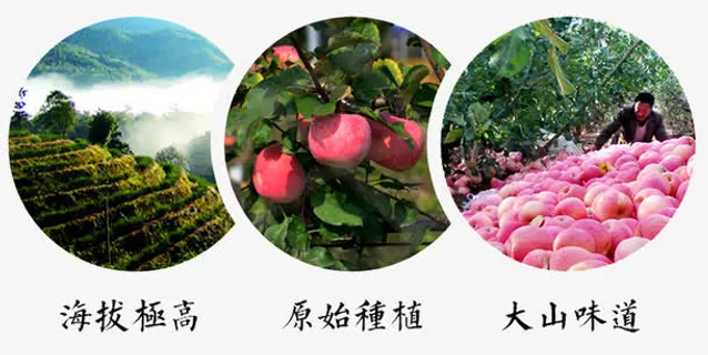 新鲜红富士免抠