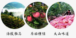 新鲜红富士免抠