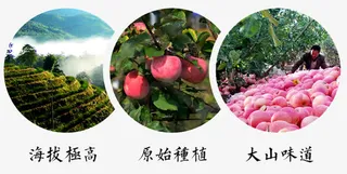 新鲜红富士免抠