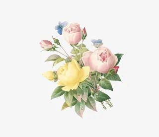 小清新手绘花朵 叶子装饰 蝶恋花免抠