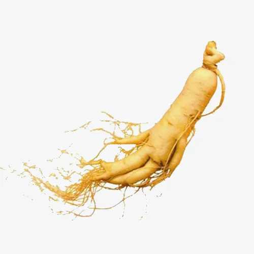 黄色野山参免抠