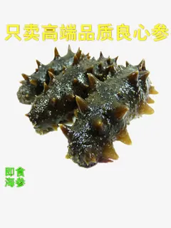 即食海参免抠