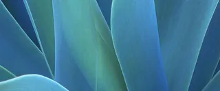 蓝色迷幻背景图高清