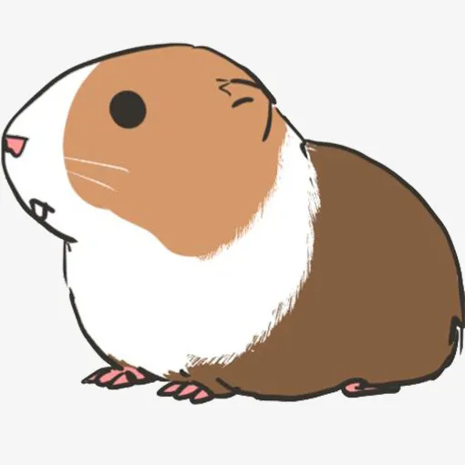 手绘豚鼠免抠