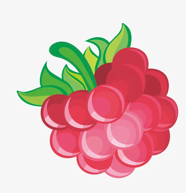 树莓覆盆子莓免抠