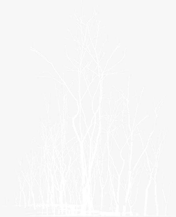 树免抠