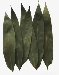 粽子的粽叶免抠