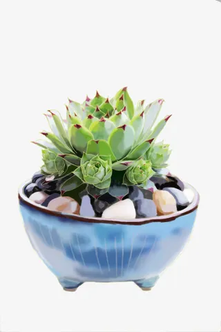手绘多肉植物盆景免抠