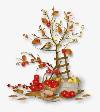 苹果树木梯小鸟免抠