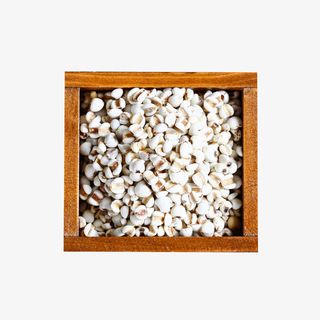 小薏米仁薏营养粗粮免抠