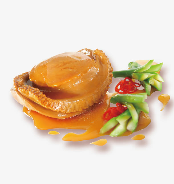 鲍鱼PNG免抠