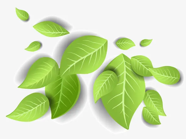 清新茶叶手绘春天绿叶飘零绿色惊免抠手绘/卡通卡通元素