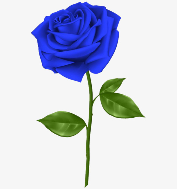 一朵蓝色玫瑰花免抠