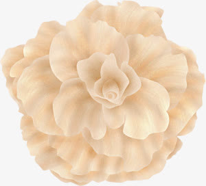 白色洁净盛开花朵免抠