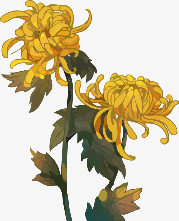 重阳节菊花卡通手绘免抠