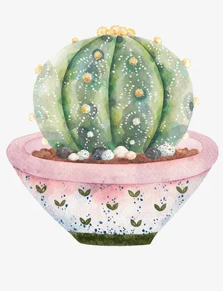 手绘创意清新仙人球盆裁免抠