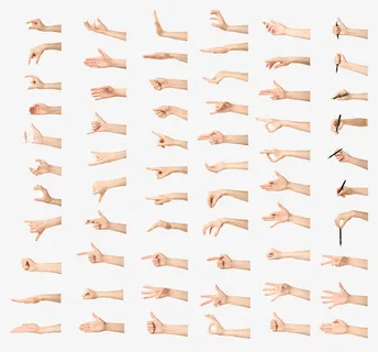 各种各样的真人手高清免扣素材免抠 各种各样的真人手高清免扣素材免抠